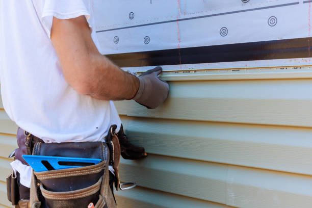 Best Custom Trim and Detailing for Siding  in Huron, SD